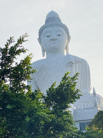 IMG_2536